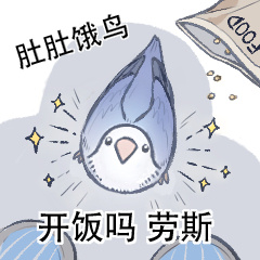 朋友圈爆火小鸟表情包