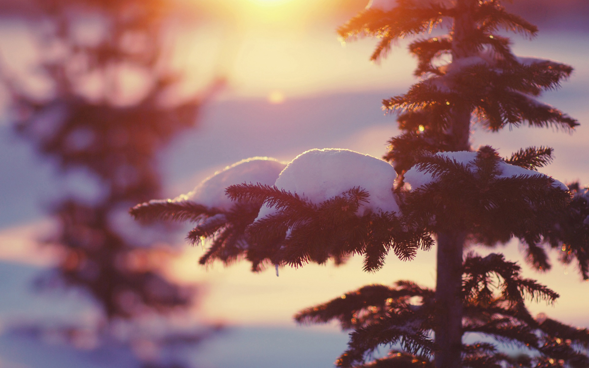 节气小雪之山顶唯美雪景图片桌面壁纸