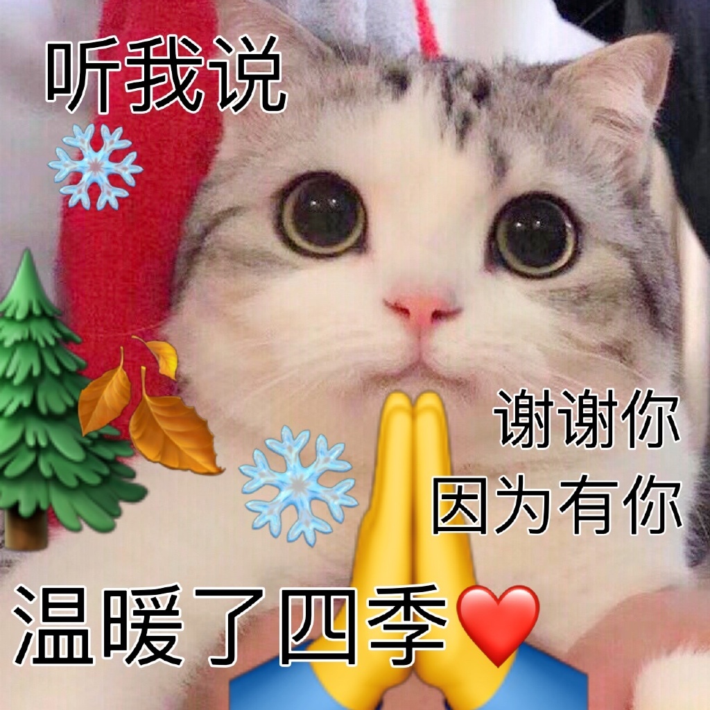 听我说谢谢你猫咪表情包