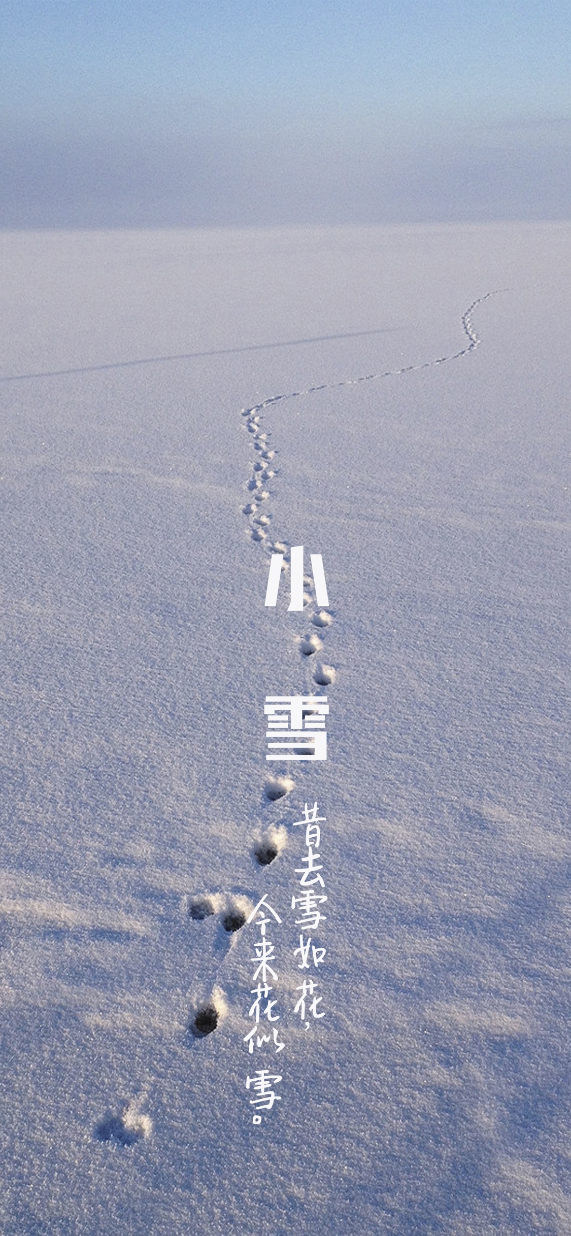 节气小雪之雪人手机壁纸图片