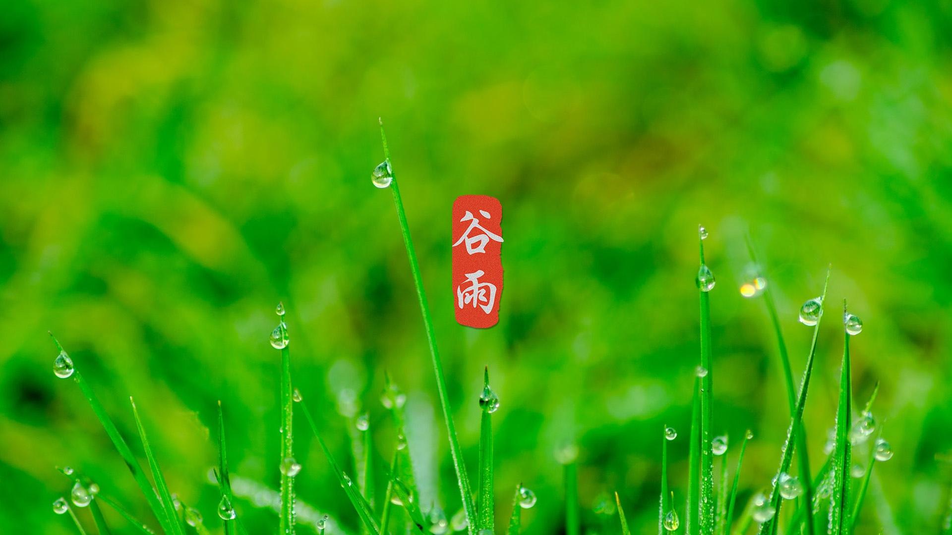 谷雨二十四节气高清图片桌面壁纸