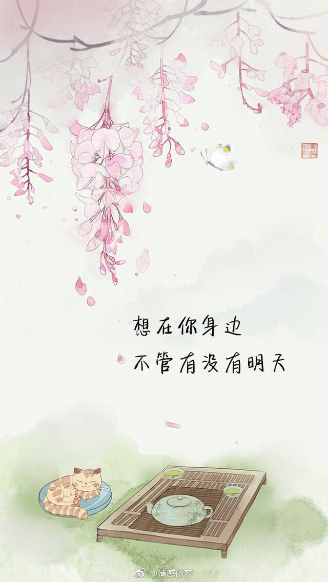 佛系爱情观唯美文字手机壁纸