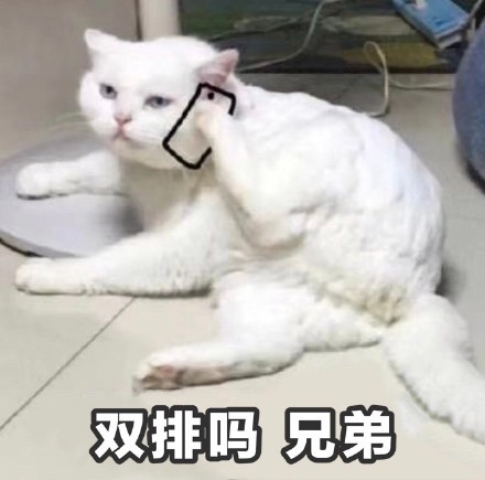 猫咪打电话表情包