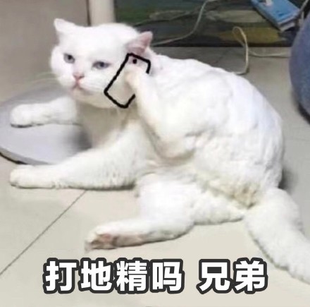 猫咪打电话表情包