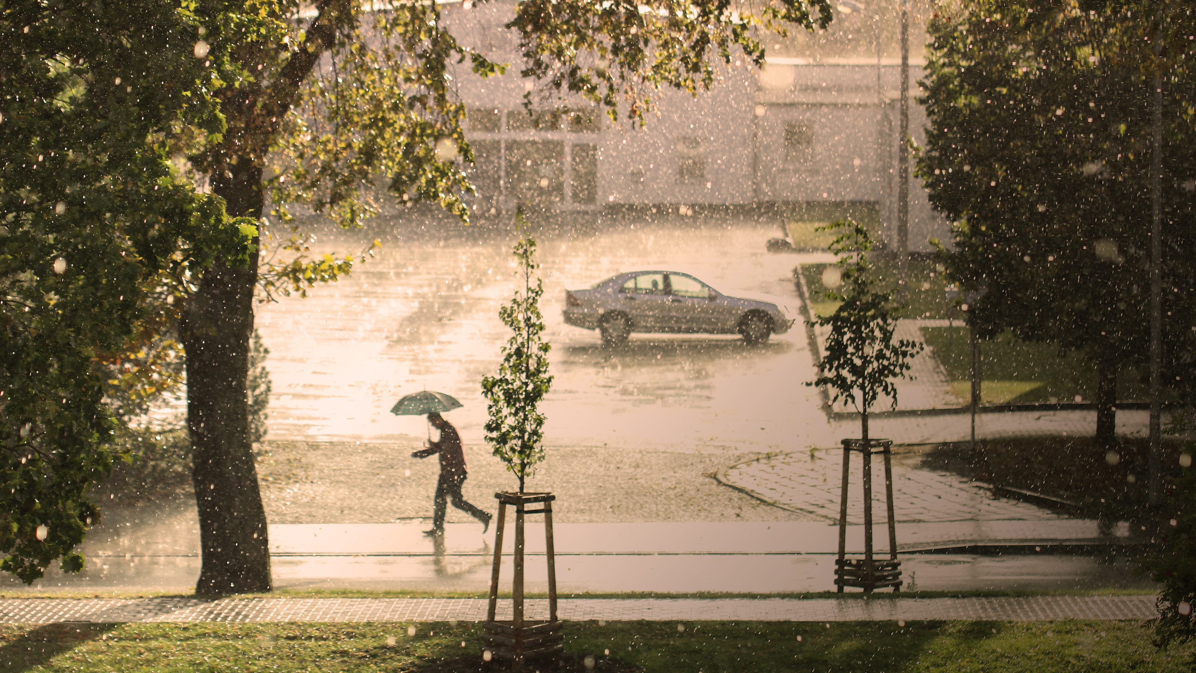 倾盆大雨唯美图片桌面壁纸