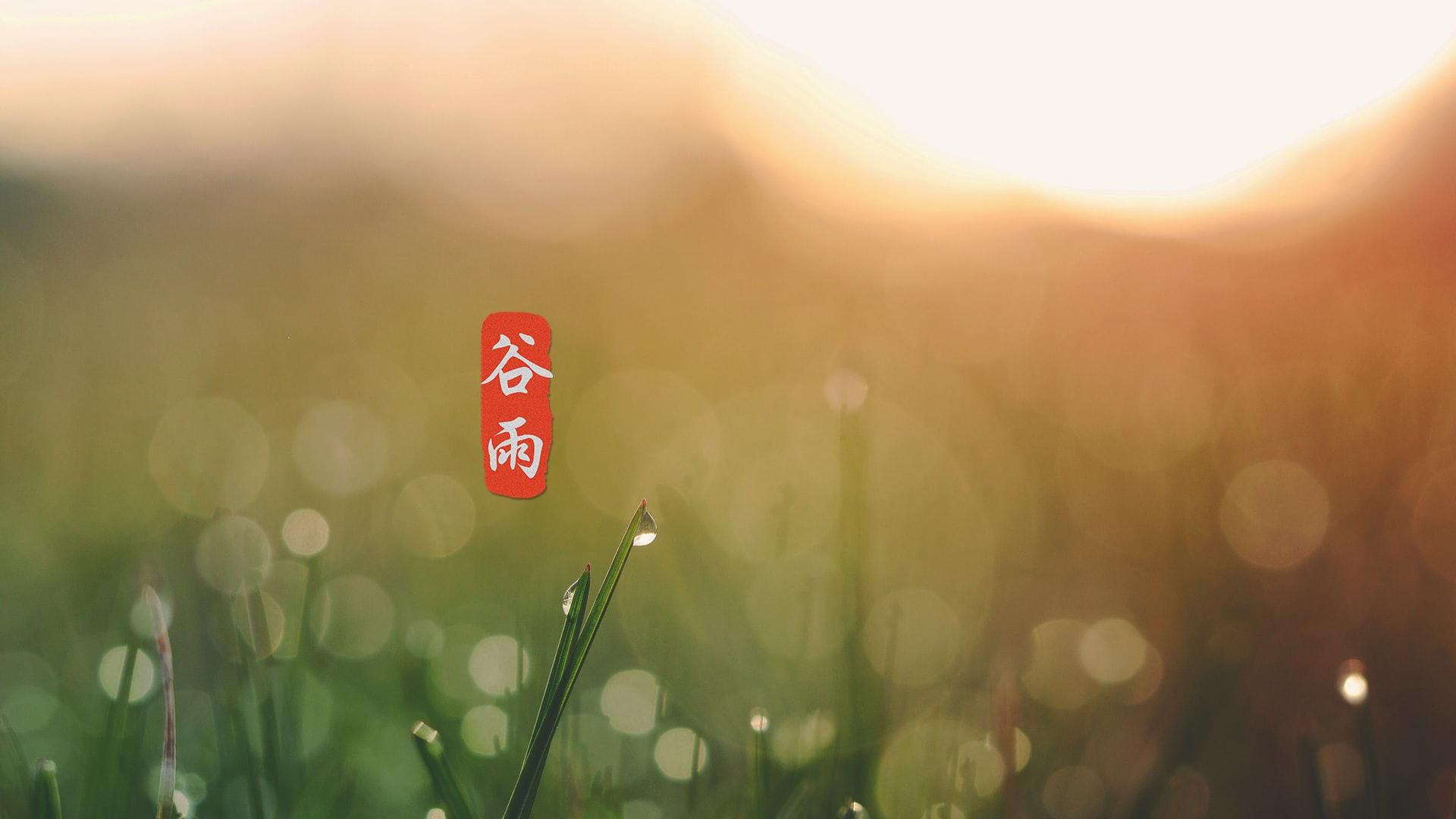 节气谷雨高清桌面壁纸图片