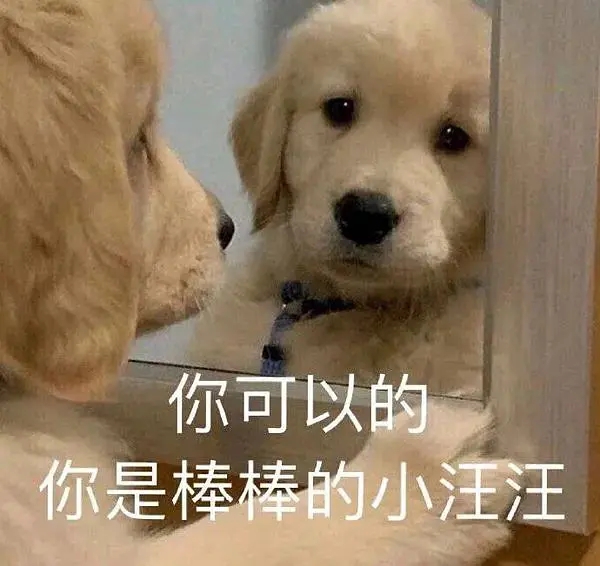 我要学习的表情包