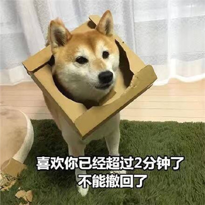 狗狗土味情话表情包图片