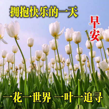 早上好带字的祝福语最新图片