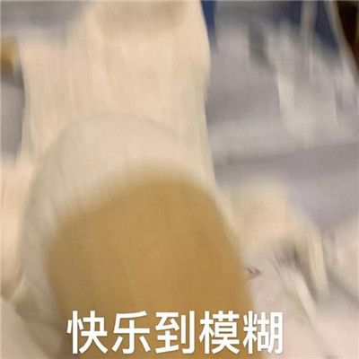 笨笨鹅表情包合集