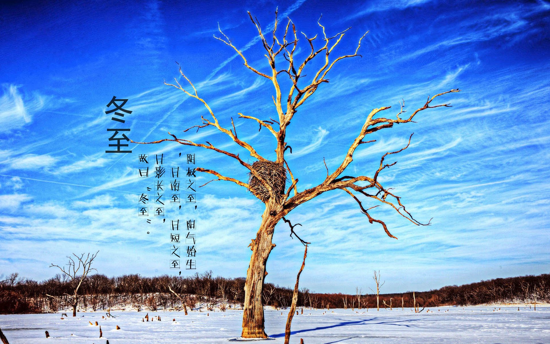 冬至节气唯美雪景高清桌面壁纸