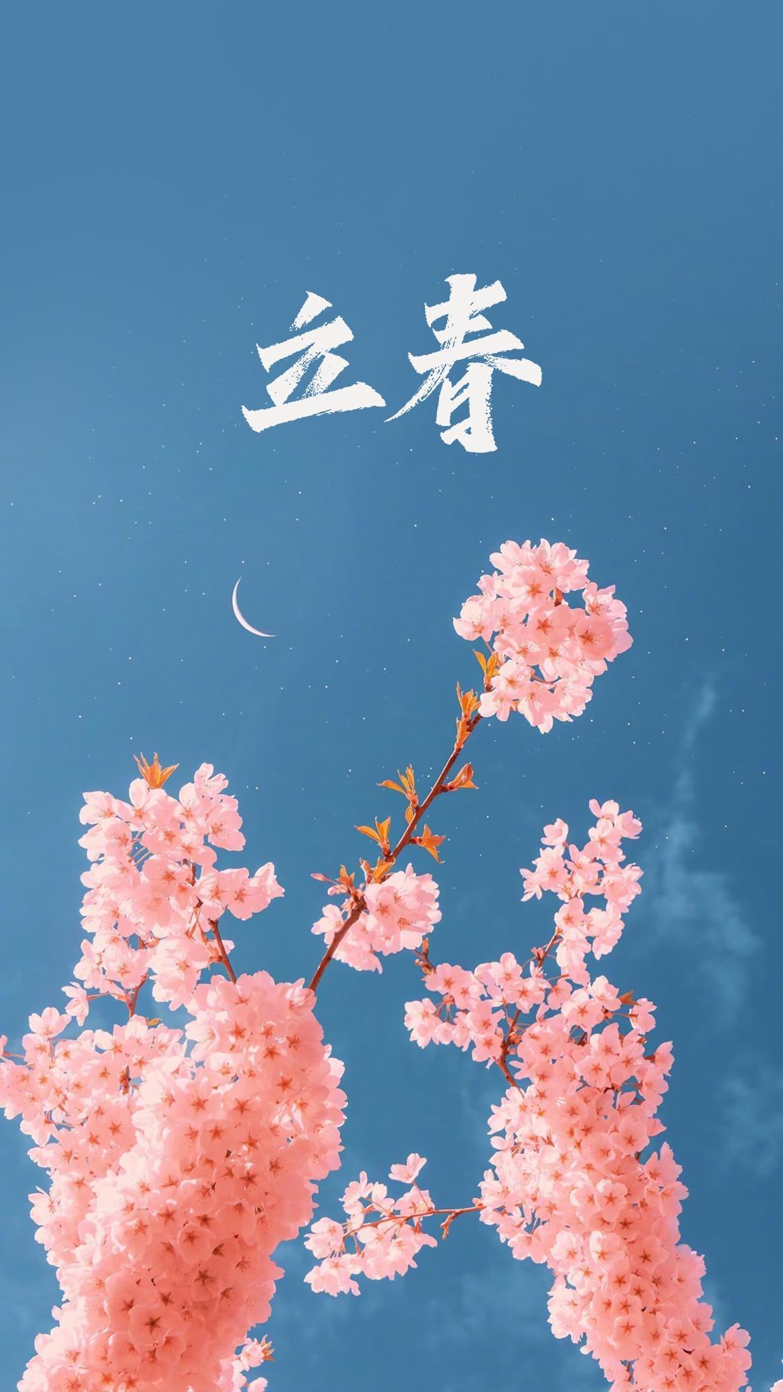 立春时节之花朵手机壁纸图片