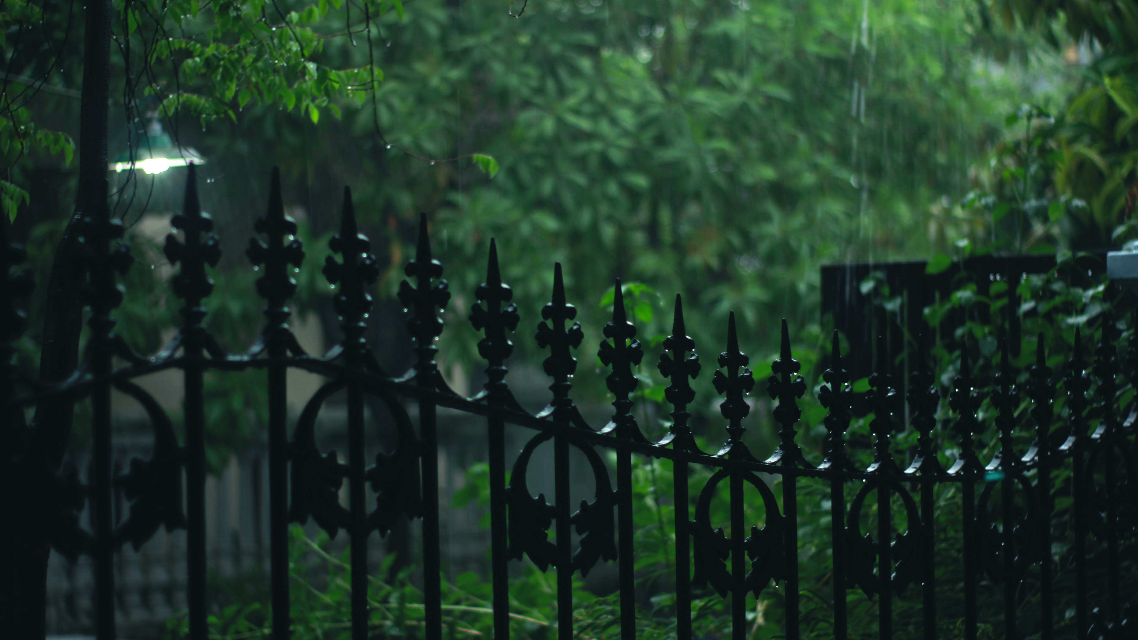 倾盆大雨唯美图片桌面壁纸