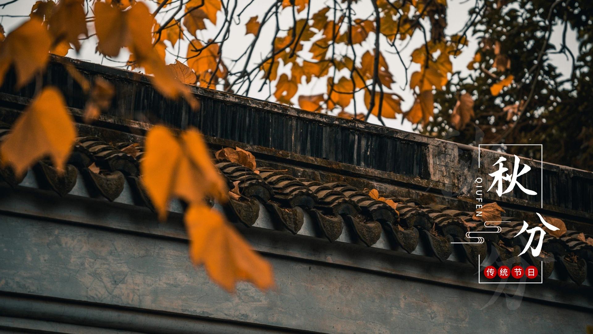 秋分节气之园林风景唯美摄影图片壁纸