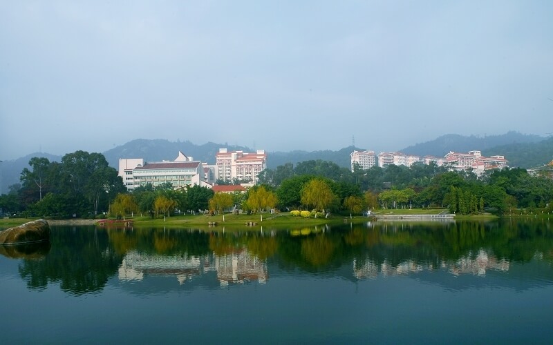 厦门大学校园风景图片