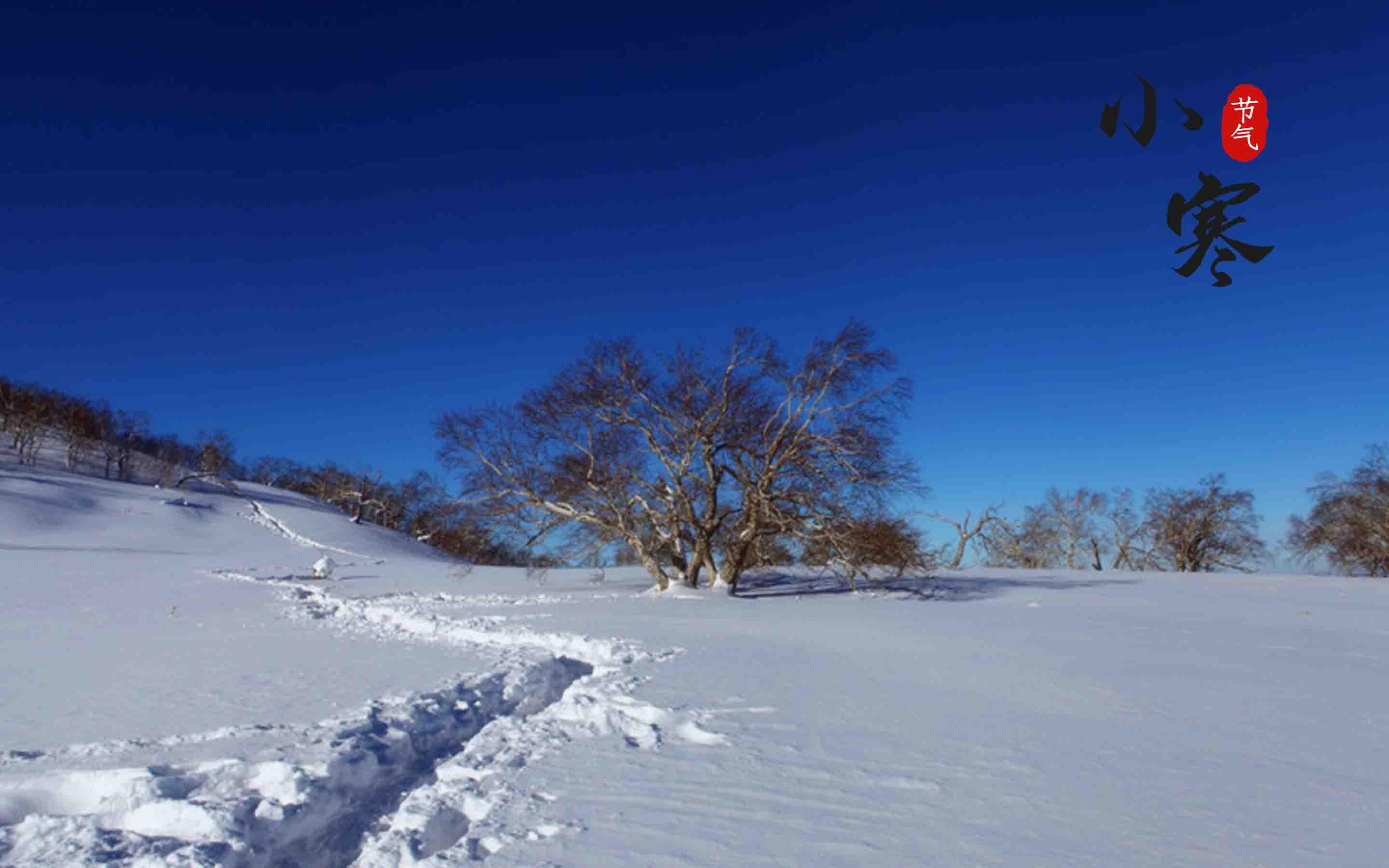 节气小寒之雪景图片桌面壁纸