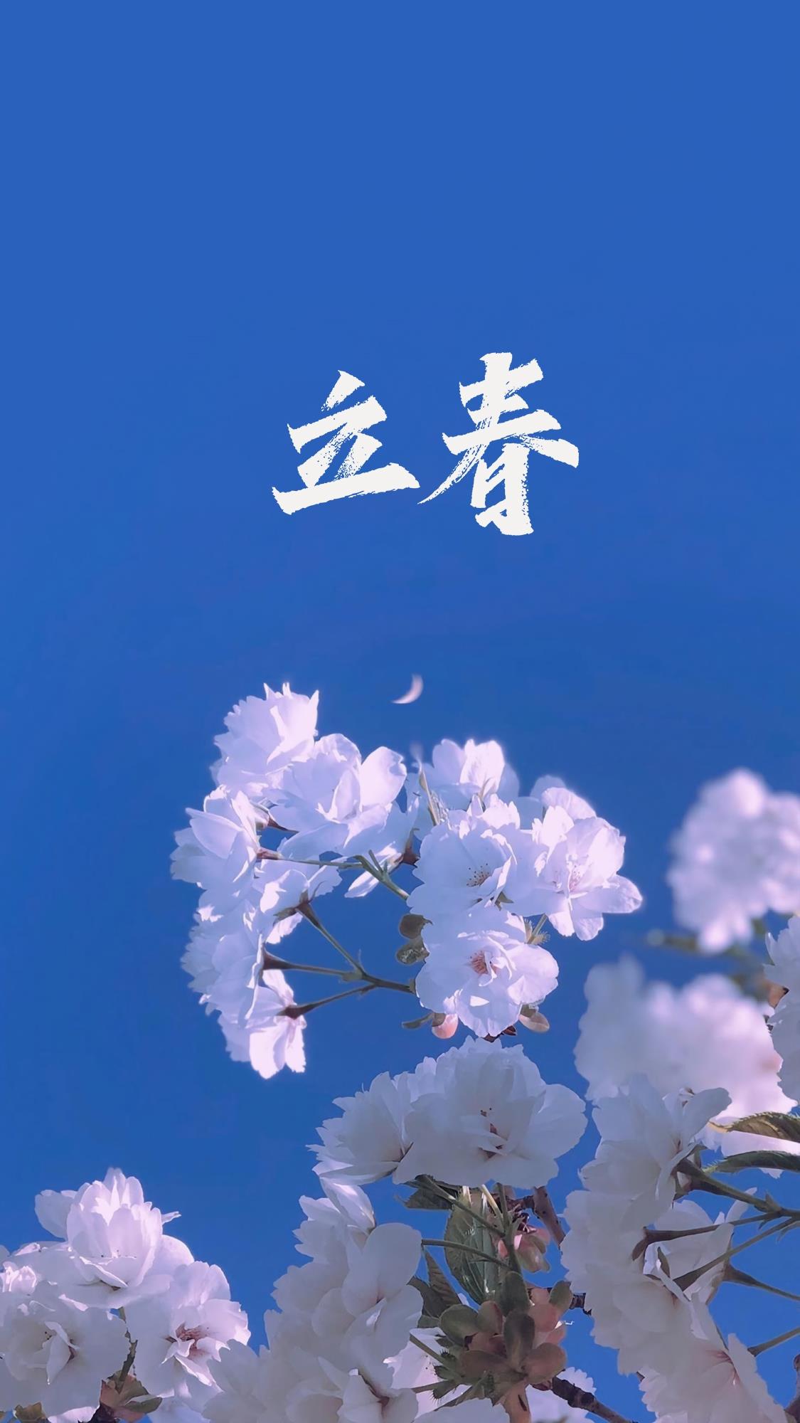 立春时节之花朵手机壁纸图片