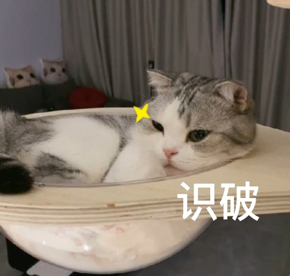 猫咪泡芙表情包 小泡芙表情包 ​​​​