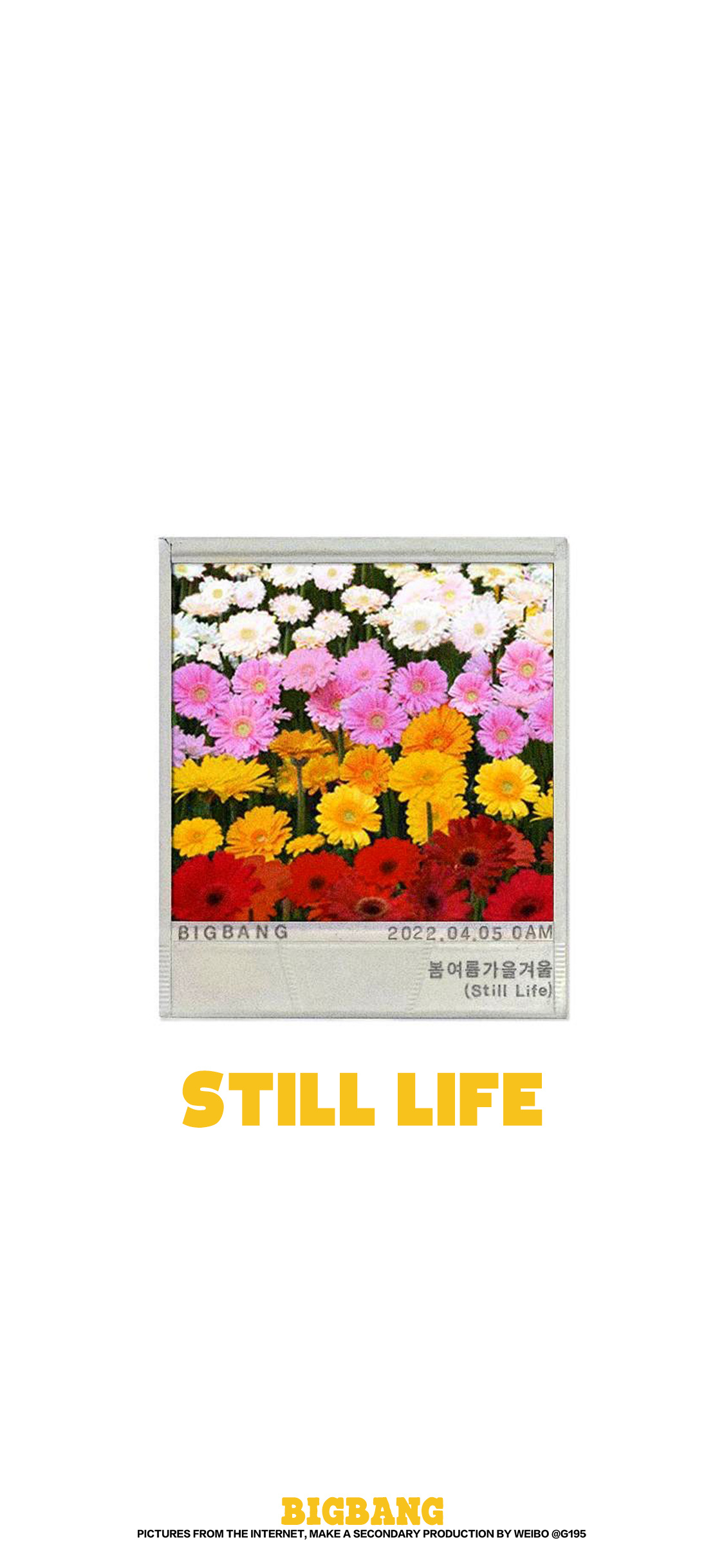 Bigbang新歌StillLife创意手机壁纸