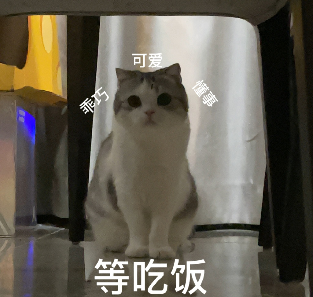 猫咪泡芙表情包 小泡芙表情包 ​​​​