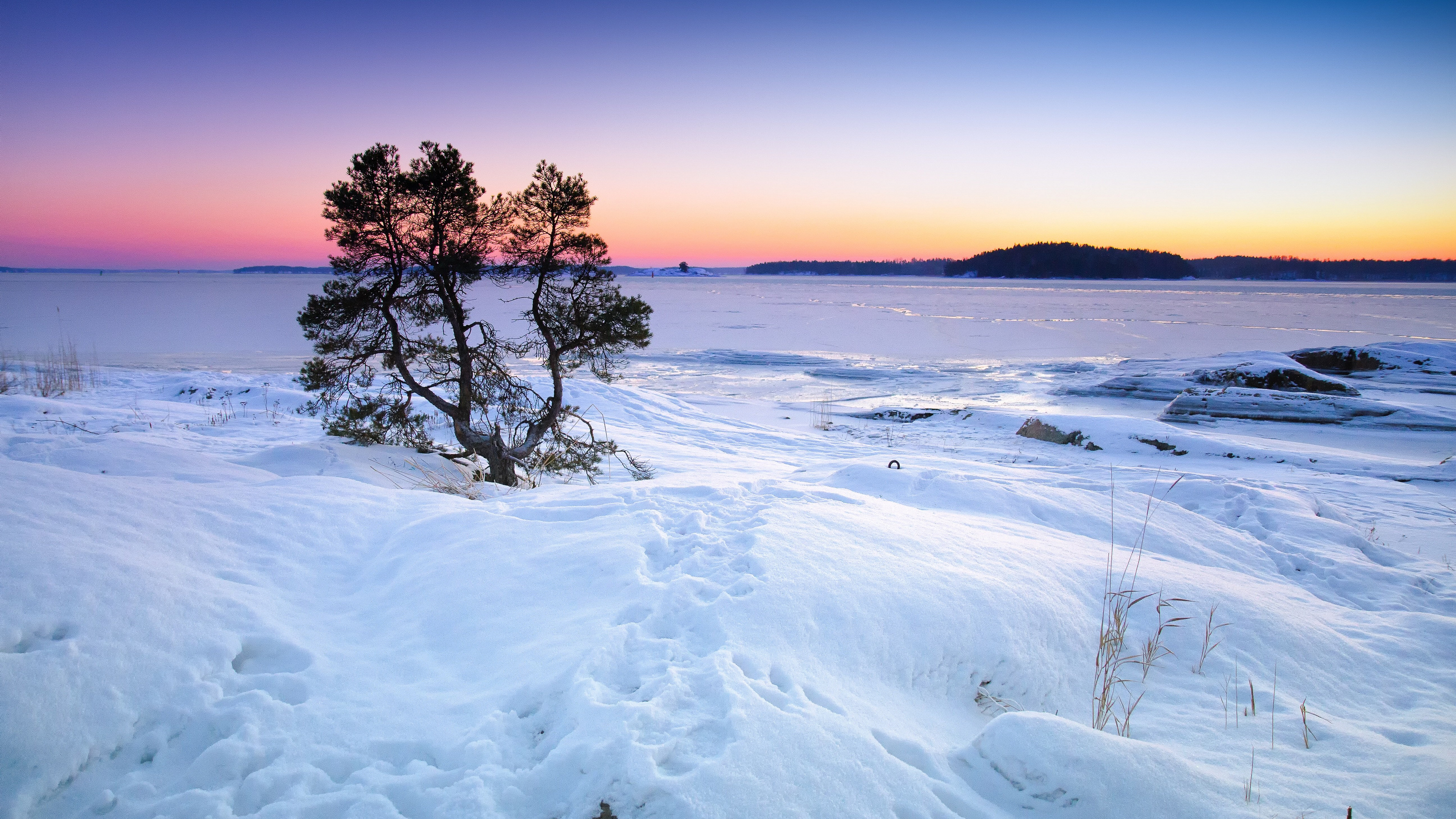 高清冬季雪景图片桌面壁纸