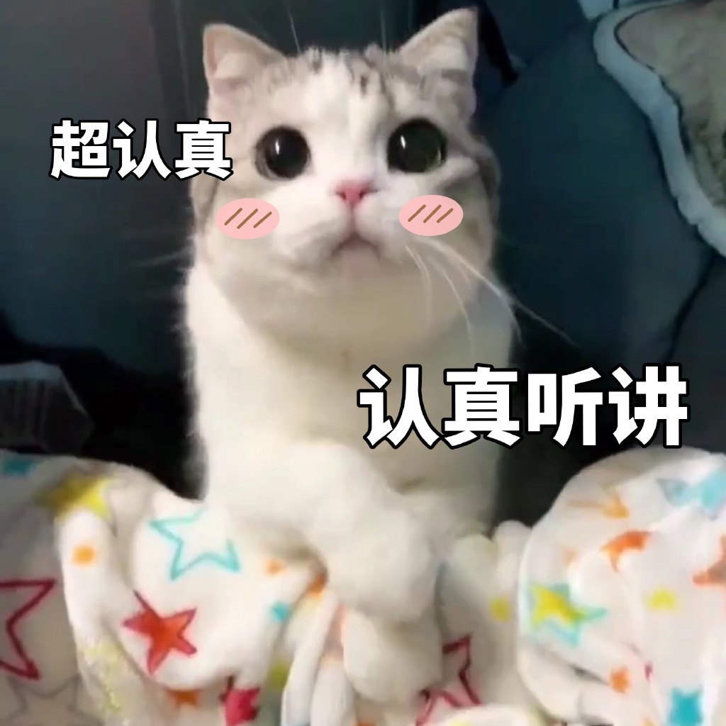 泡芙猫的表情包合集