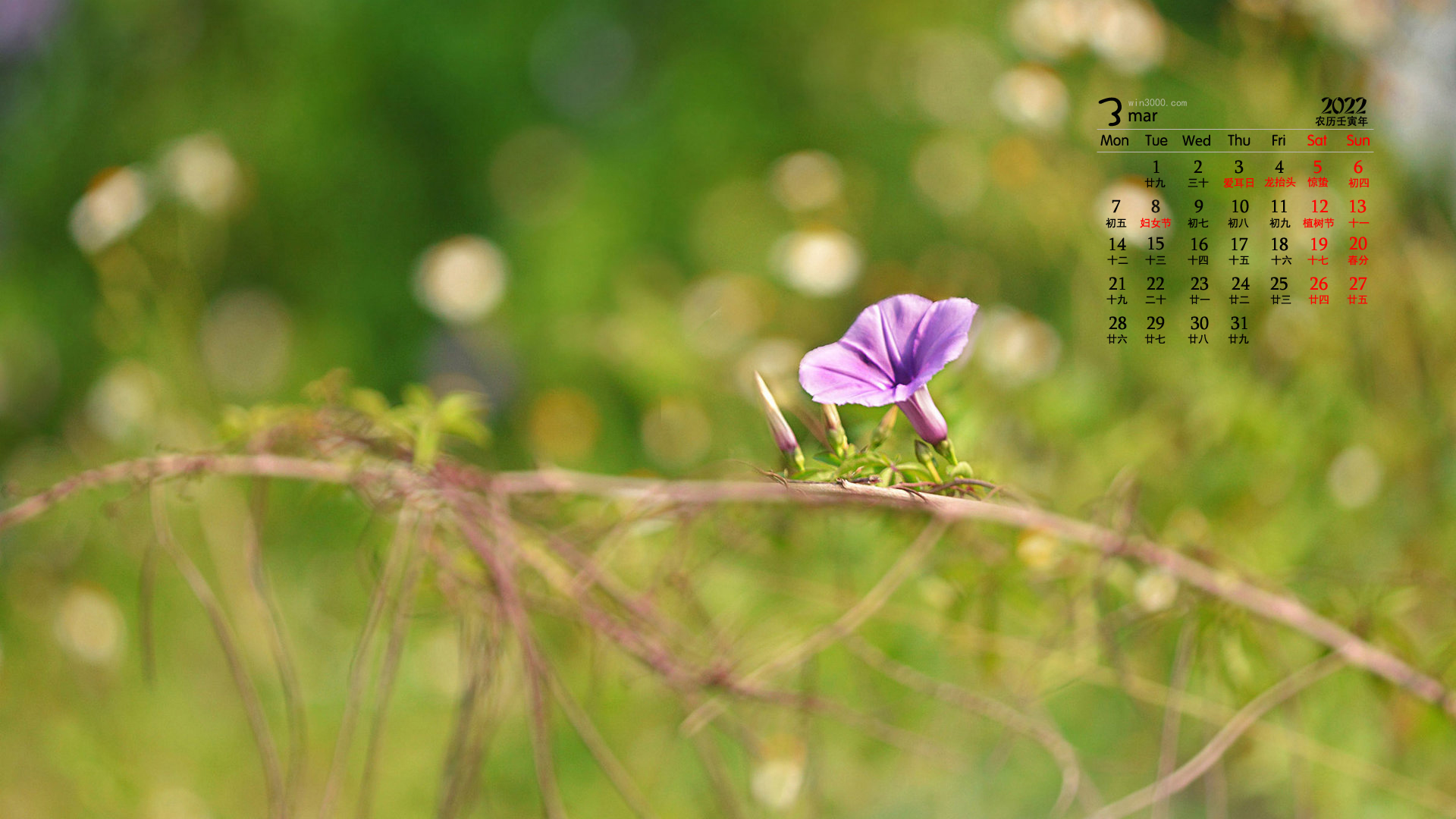 2022年3月绿色植物护眼高清日历壁纸