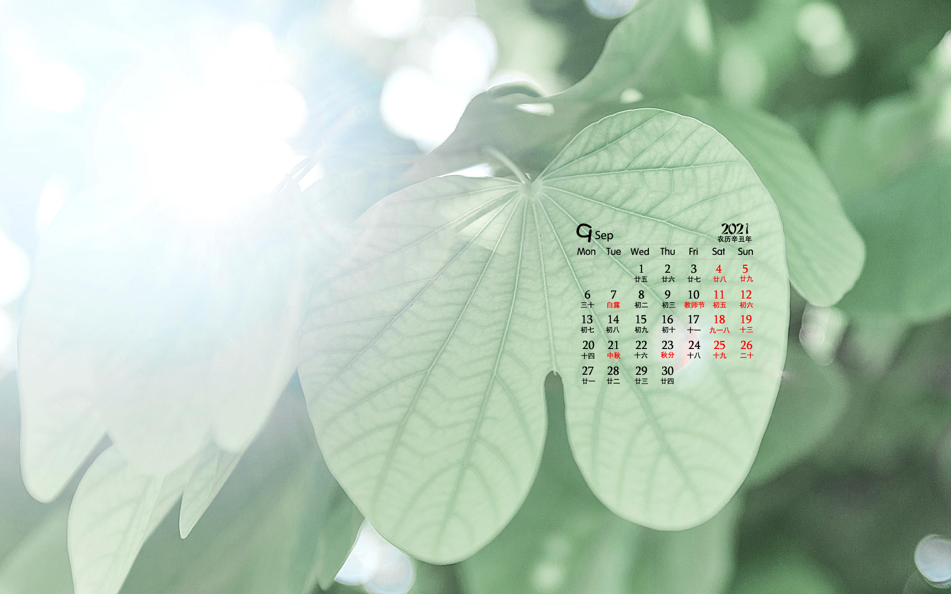 2021年9月护眼绿植风景桌面日历壁纸