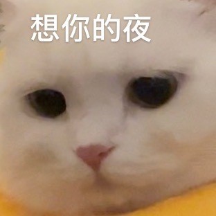 猫咪奶盖王思聪语录系列表情包