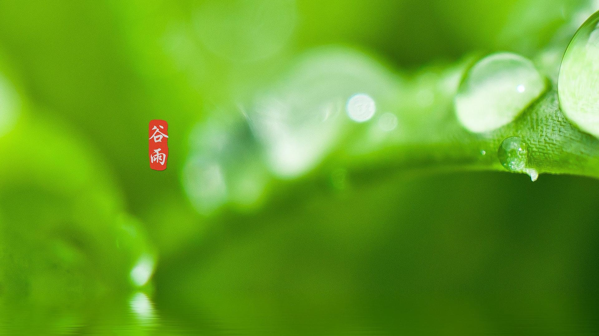 24节气谷雨图片桌面壁纸