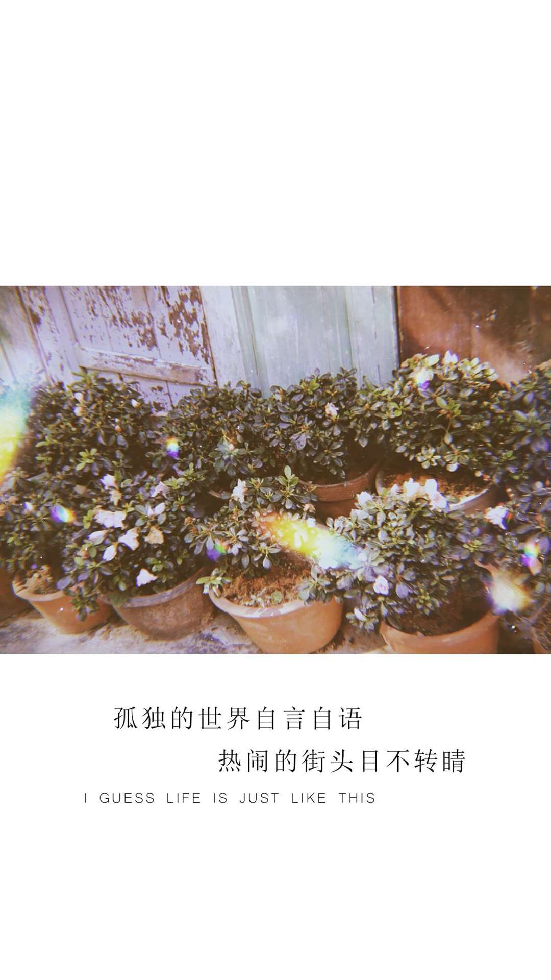 小清新唯美情话图文手机壁纸