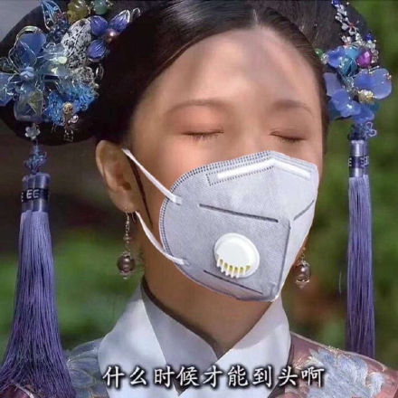 甄嬛传妃子戴口罩表情包