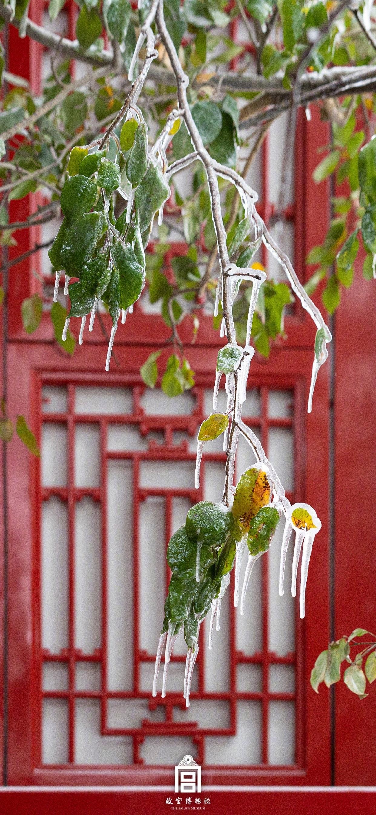 故宫雪景风景手机壁纸