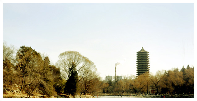 北京大学校园风景图片