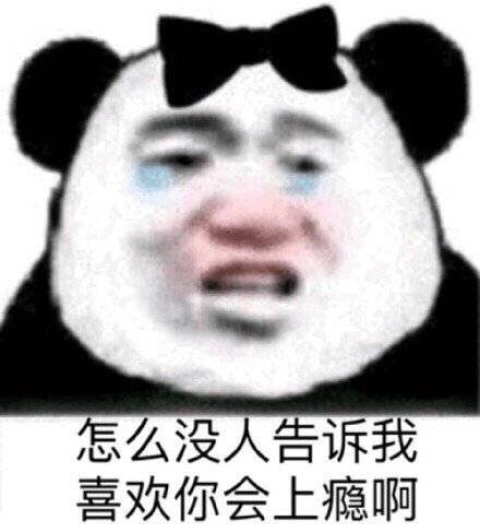 追星女孩必备表情包