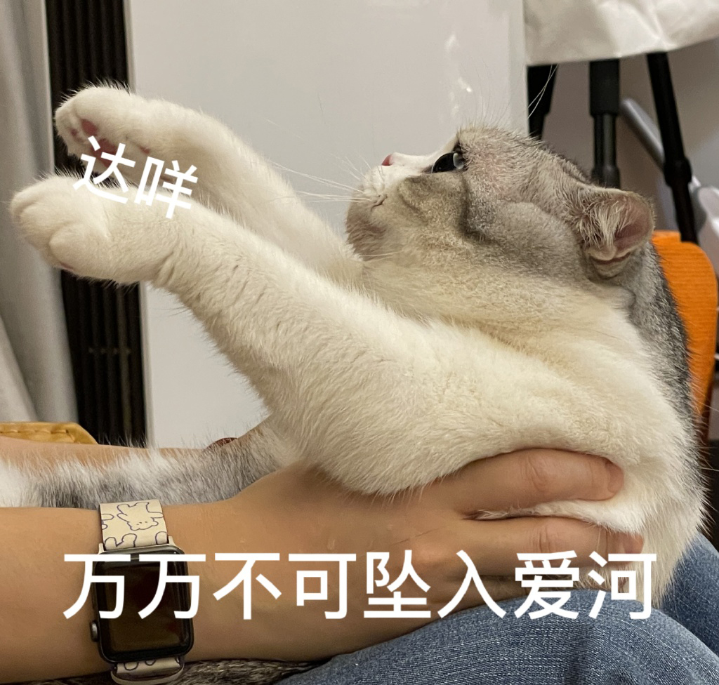 猫咪泡芙表情包 小泡芙表情包 ​​​​