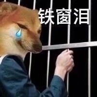 封校必备表情包