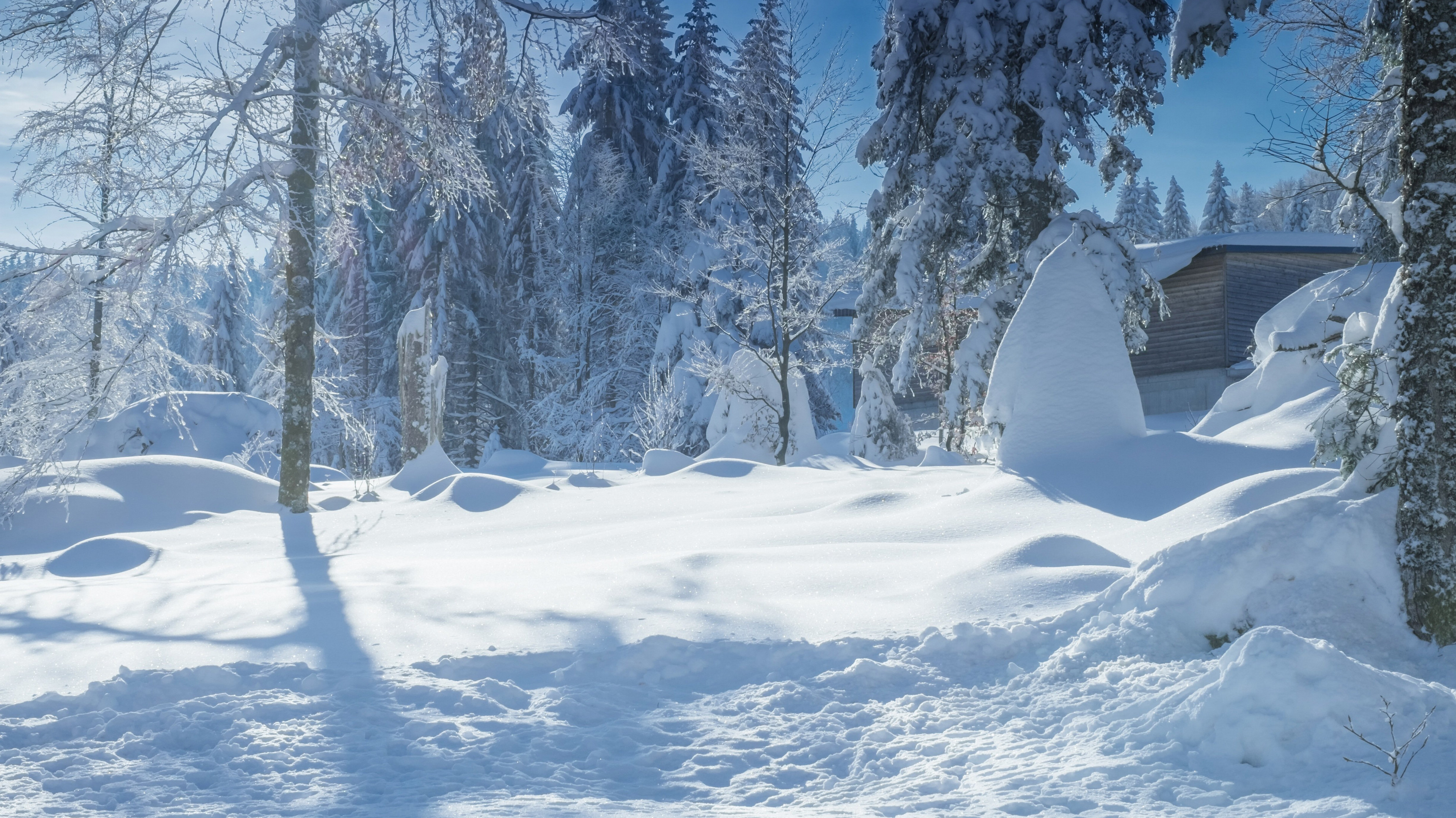 冬季皑皑白雪风景桌面壁纸