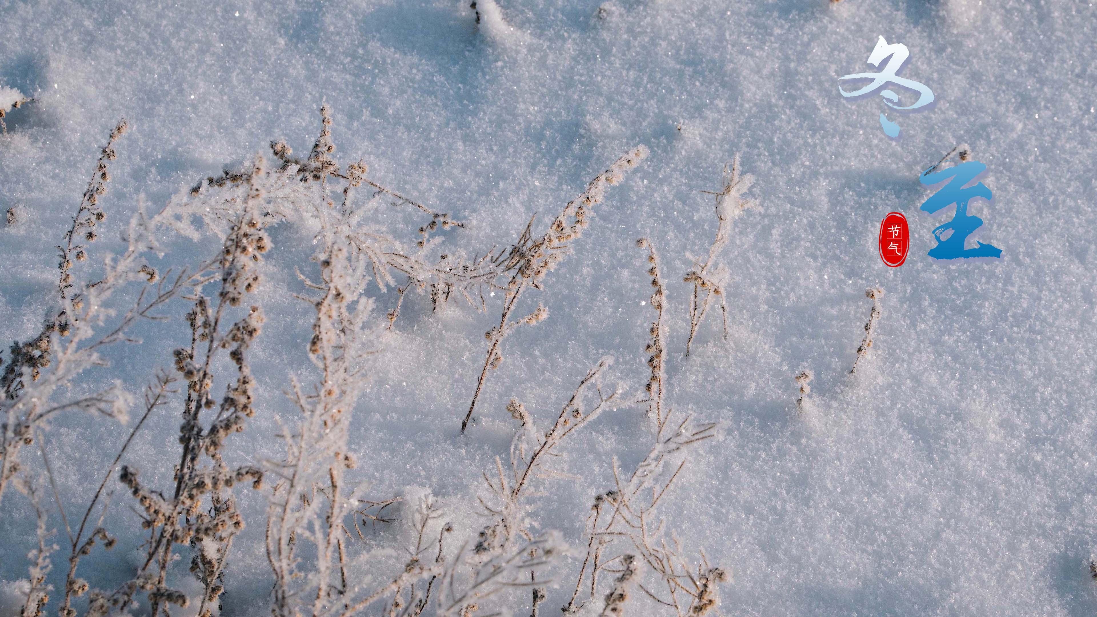 传统节气冬至雪景图片壁纸