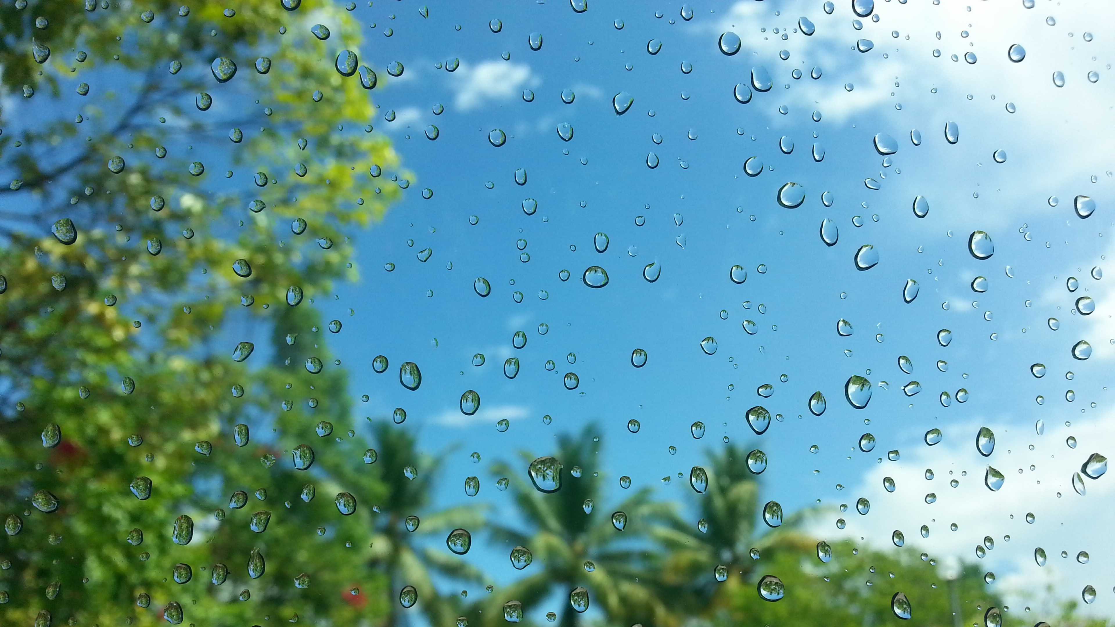 玻璃上的雨滴图片桌面壁纸