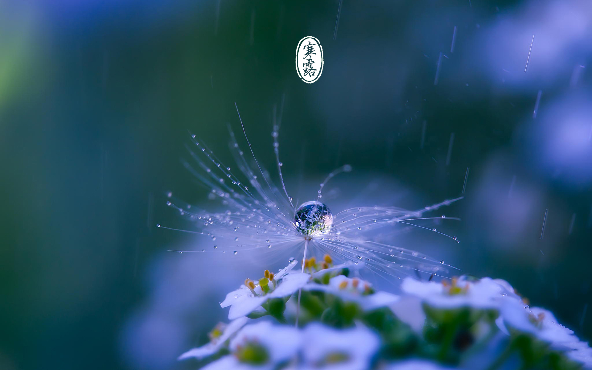 寒露时节清新美景图片桌面壁纸