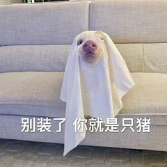 可爱猪相关表情包汇总