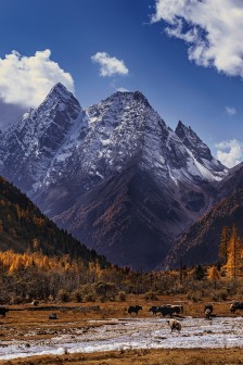 云端下的山峰美景手机壁纸