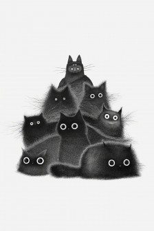 煤炭猫咪可爱手机壁纸