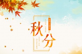 秋分节日背景素材高清桌面壁纸