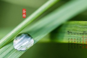 2021年5月清新护眼谷雨节气桌面日历壁纸