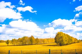 蓝色天空下的秋天美景壁纸图片