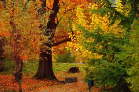 2021最美的秋天景色图片桌面壁纸