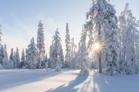 高清冬季雪景图片桌面壁纸