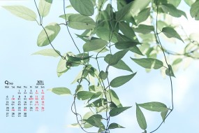 2021年9月护眼绿植风景桌面日历壁纸